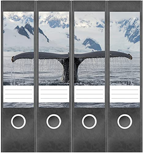 Etiketten für Ordner | Waal Meer Flosse | 4 breite Aufkleber für Ordnerrücken | Selbstklebende Design Ordneretiketten Rückenschilder
