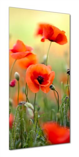 Wallario Selbstklebende Duschrückwand 70 x 190 cm mit Motiv Mohnblumenblüten - Wandverkleidung Fließenersatz mit Hochglanzlaminat in Glasoptik