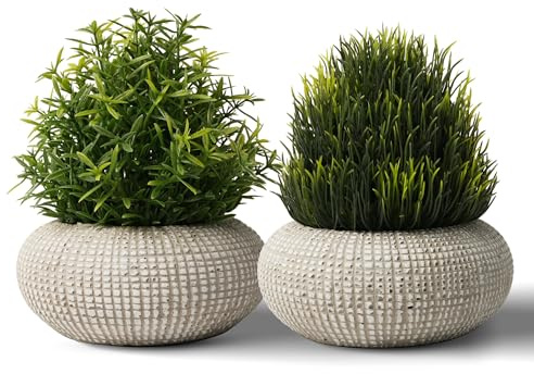 YVONNEYI 2 Pièces Plantes Artificielles Interieur pour Decoration Maison | Petite Fausse Plante Interieur des Pots en Beton, Plante Artificielle pour Chambre Salon Salle de Bain Bureau Cuisine Table