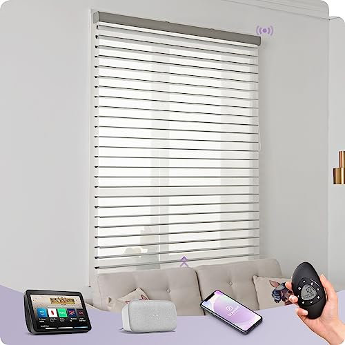 Graywind Customized Smart Shangrila Blinds with Rechargeable Motor, Light Filtering Electric Roller Blinds With Remote Control, Privacy Motorised Shades Compatible Alexa Google, Grey
