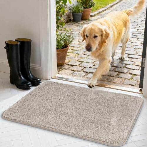 AUAUY Innerdörrmatta, dörrmatta, 60 x 90 cm, ljusgrå | Superabsorberande och halkfri, smutsfångare, maskintvättbar, för entré, inomhus, dörr och korridor