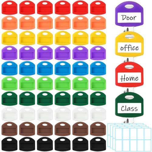 JANYUN 60 Pcs Colored Key Covers, 1 Inch Rubber Key Identifiers Tags with Labels Key Head Protectors for Home Office Car Keys Classification Organization