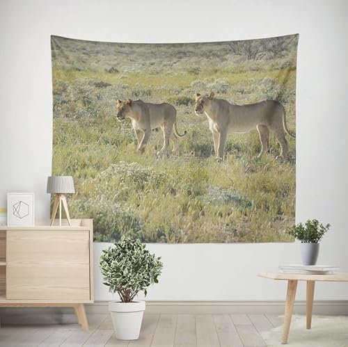 EHOMERY Wandbehang Kunst Wanddekoration Jugendzimmer Junge Löwe Wandteppich Anime Wanddekorationen Vintage Wohnzimmer Schlafzimmer Wandbehang Dekoration 300x250cm