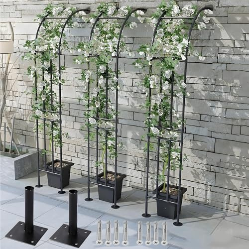 Demi arche de jardin en métal, pergola de support de rose en métal, treillis pour plantes grimpantes, demi-arc en acier avec base 60-300 cm (noir, 200 x 240 cm)