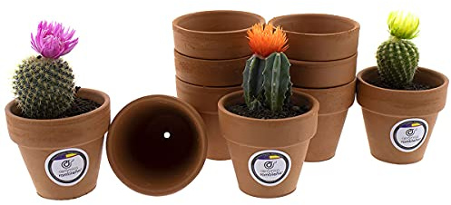 CERÁMICA RAMBLEÑA | Macetas de Barro | Macetas Decoradas | Macetas cerámica | Macetas Exterior | Pack x10 Macetas para Cactus | Terracota | Modelo D86 | 7.5x7.5x7 cm