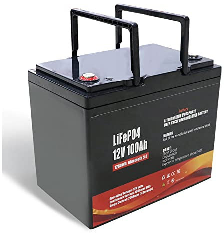 TGHY Batterie au Lithium Fer Phosphate 100Ah LiFePO4 Batterie 12V Lithium-ION Batterie 3500 Cycles pour Camping-Car, Solaire, Voiture électrique, Marine, Stockage d'énergie Domestique,100ah