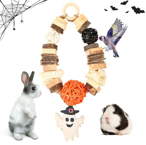 Abizoo Rabbit Toy Food, Halloween Rabbit Chew Toy, Natural Chew Balls Toy for Guinea Pigs, Chinchilla, Rabbits, Dwarf Rabbits, Hamsters, Budgies, Rodents, Dental Care, Wooden Accessories