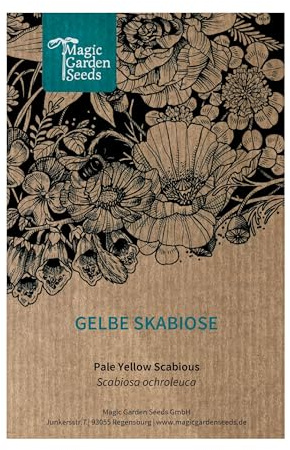 Gelbe Skabiose (Scabiosa ochroleuca) - ca. 250 Samen der mehrjährigen Wildblume für den naturnahen Garten