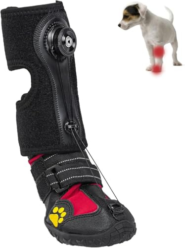 Fußheber mit Rolle für Hunde - Korrigierende Gehhilfe bei Fußproblemen | Verbessert Gang & Lauf | Sicherer Zehenheber (o. Knöchelstütze) (S)