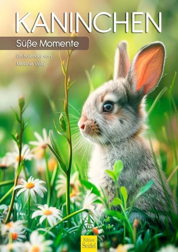Edition Seidel Calendario premium de conejo 2026, formato DIN A3, calendario de pared, calendario de animales, conejo, molinillo, animales salvajes, animales salvajes, animales del bosque, mascotas