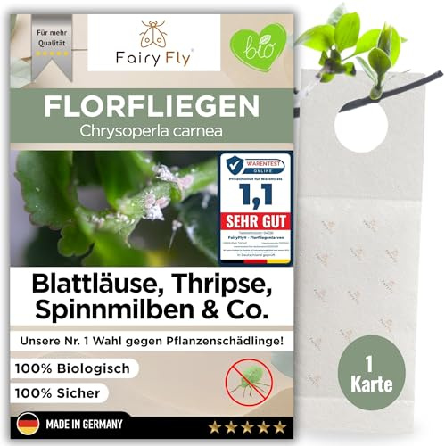 FairyFly® Florfliegenlarven gegen Blattläuse & Wollläuse (1 Karte) – Nützlinge zum Aufhängen für Zimmerpflanzen – biologische Schädlingsbekämpfung ohne Chemie – Florfliegen Eier