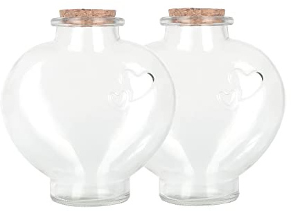 Magic Season Lot de 2 bouteilles décoratives en verre avec bouchon en liège 355 ml