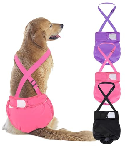 AMFUN 3 Pezzi Pannolini per Cani Cane Femmina Lavabili, Pannolini Cane Femmina Regolabile e Cinghie, Mutande Igieniche Animali Lavabili, Riutilizzabili, Altamente Assorbenti (L)