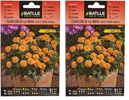 Semillas Batlle Clavelon de la India MOUGLI (Paquete de 2)