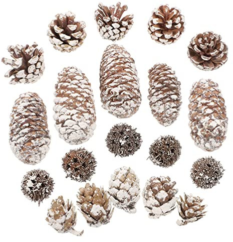DOITOOL 1 Satz Getrocknetes Blumenmaterialpaket Winzige Tannenzapfen Beflockt Desktop-tannenzapfen-ornamente Tannenzapfen Zum Basteln Getrocknete Natürliche Tannenzapfen Kiefernzapfen