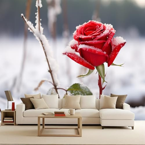 Generico 3D Carta da parati panoramica Piante 250x175 cm Fotomurali Rosa rossa decorazioni da parete per bambini, camera da letto, soggiorno, poster da parete XXL grande - Fiori