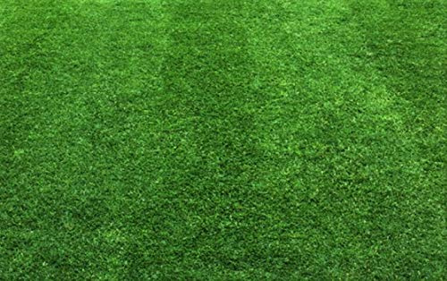 25 kg Rasensand Gartensand Rasenpflege lehmfrei Düngehilfsstoff Körnung 1,0-2,0 mm