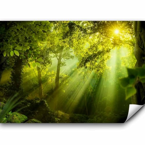 murando - Fototapete selbstklebend Wald, 392x280 cm, Schlafzimmer, Full HD | Selbstklebend ohne Kleister, Full HD Druck, ideal fürs Wohn- oder Schlafzimmer, schnelle Montage, lichtbeständig, geruchsfrei