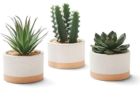 ASTRIDIA Artificial Succulent Plants in Ceramic Pots, Faux Assorted Succulents Fake Cactus Plants for Home Decor, Bedroom, Office, Desk, Living Room, Set of 3…