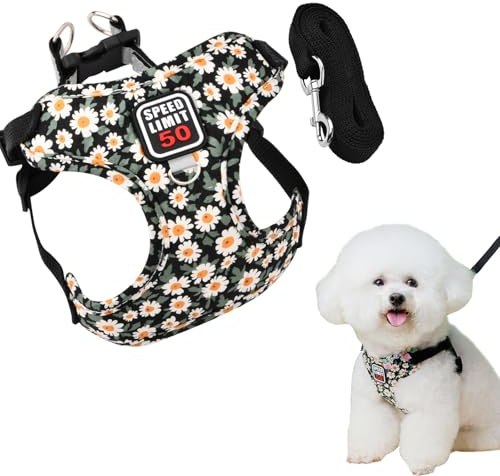 Hundegeschirr Reflektierend mit Leine, Atmungsaktiv Brustgeschirr, Katzengeschirre Air-Mesh, Hunde Geschirr, Verstellbare Welpengeschirr für Kleine Mittel Haustiere (Schwarz)