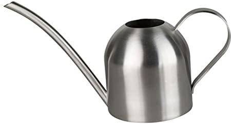 Arrosoir à Long Bec 500ml en Acier Inoxydable Argenté pour Jardinage