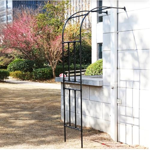 AJTXCSFOQL Extérieure Arche de Jardin Demi-Arc en métal Support pour Plantes grimpantes et Roses, Arceau en Acier revêtu par pulvérisation, résistante aux intempéries(200cm/79 Wide)