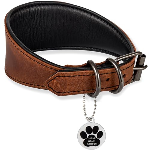 FAVPET Echtleder Windhund Halsband mit QR Code Anhänger, Weiches Lederhalsband Hund Breit Whippet Italienisches Windspiel Saluki Lurcher Spanischer Galgo Greyhound, Hundehalsband Leder (Braun, M)