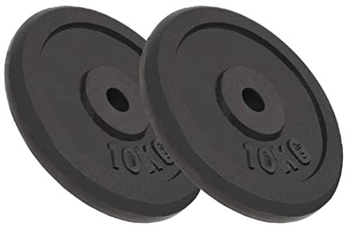 vidaXL Viktskivor 2 st 2x10 kg gjutjärn