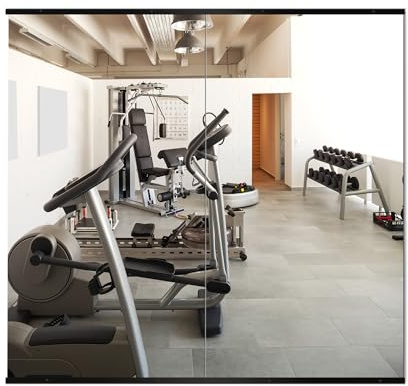 Delma Home Gym Mirror, 54''x28''x2PCS Black Wall Mounted Large Frameless Tempered Glass Wall Mirror for Home Gym, Garage, Bedroom, Bathroom