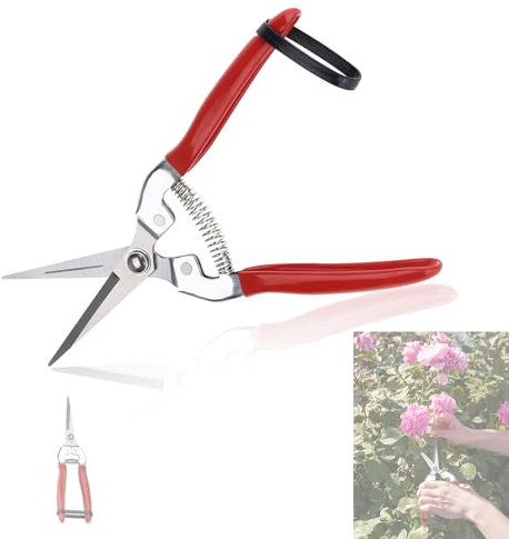 Pflanzenschere & Gartenschere Kleine Gerade Schere - Ernteschere, Astschere, Obstbaum für Garten Bonsai Pflanzen Blumen Rosen Blumenstrauß Zweige Ernte Obst und Gemüse Früchte Grow Zubehör(Gerade)