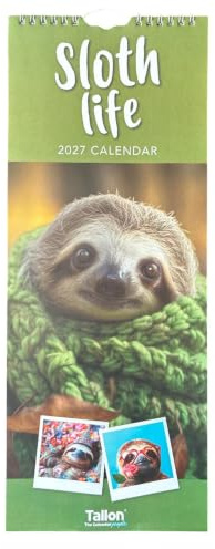 2027 12 Month Slim Calendar Wall Hanging with Gift Envelope - Funny Animals (Sloth Life)