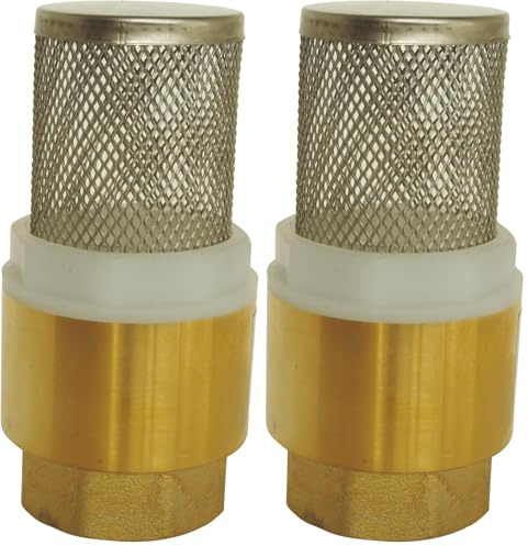 SOMATHERM FOR YOU, Clapet crépine universel Femelle 3/4 en laiton et inox, protège votre réseau contre le retour d'eau et le désamorçage de pompe, température max 110°C (Lot de 2)