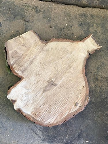 Baumscheibe, Holzscheibe,ca.45x3 cm, basteln, Holz, Kastanie