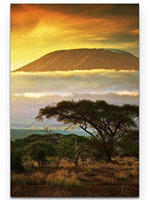 Leinwandbilder | Bilder Leinwand 90x60cm Landschaft Kilimanjaro in Afrika
