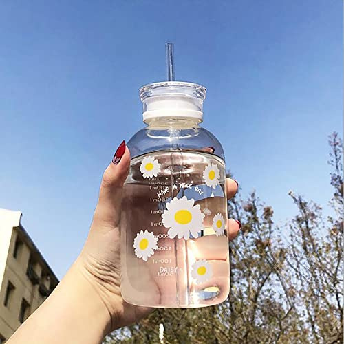 JZSMY Botella de 480 ml para leche y jugo, con escala de 2 tapas, pequeña margarita, opaca, portátil, taza creativa transparente práctica (6 flores transparentes)
