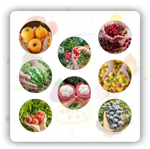 310 pcs obst samen set balkon - obst samen balkonpflanzen winterhart bio obstsamen, säulenobstbäume hochbeet balkon exotische samen frisches obst topfpflanzen draußen winterhart obstbaum