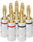 Aolso Clavija Banana Conectores Altavoces, 8 Piezas Conector Banana, 24K Altavoces Enchufe Conectores para Altavoces, Amplificadores y Otros Receptores de Audio (Rouge *4, Noir *4)