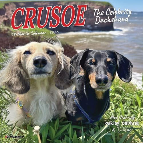 Willow Creek Press Crusoe the Celebrity Dachshund 2026 Mini Wall Calendar – 18‑Month Dog Calendar with Crusoe & Friends Photography (7 x 7)