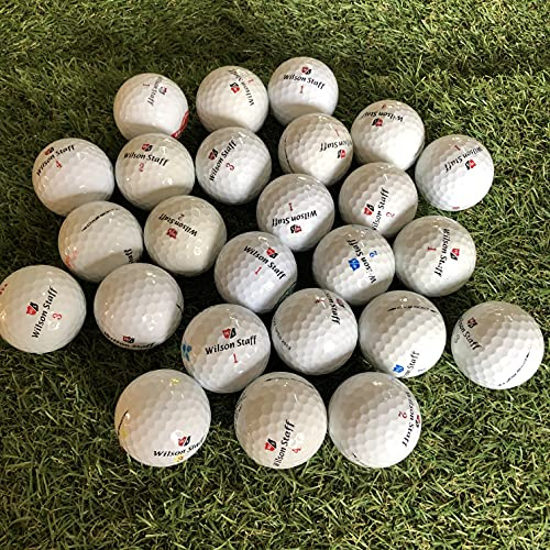 50 Wilson DX2 Soft Lakeballs/Golfbälle AAA/AA