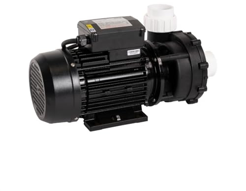LIVIN' Jet pool filterpumpe- LX WP250 poolpumpen 1.85 kW/ 2.5HP, Whirlpool Wasser zirkulationspumpe 670L/ Min für hohe & 300L/ Min für niedrige Geschwindigkeit über dem Boden