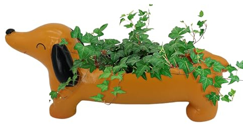 Maceta con Forma de Perro – Maceta – Maceta de cerámica | Cuenco Compacto para Cactus con diseño en Forma de Animal, Base para Plantas en Miniatura para Escritorio, Estante, Ventana, de
