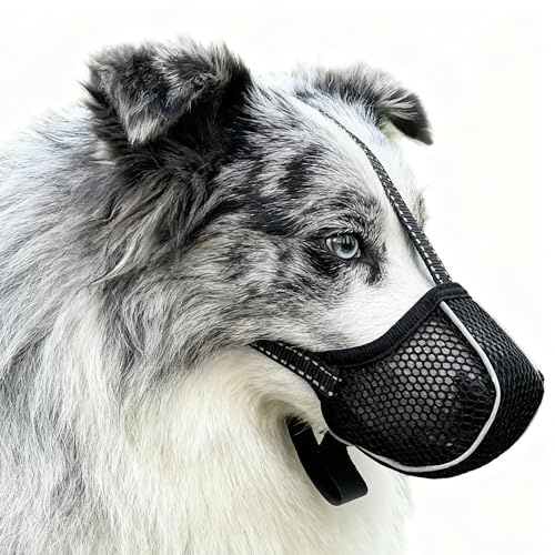 Maulkorb für Hunde,Weicher Netzmaulkorb für kleine, Mittelgroße und große Hunde, Trinken und schützt vor Beißen, Lecken & Kauen (M)