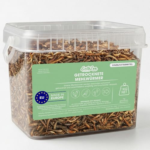 EntoZoo Gusanos de harina secos para pollos, pájaros y reptiles – Comida para insectos de calidad alimentaria | Comida para pájaros, pollos, alimento para erizos, pienso para reptiles, sin aditivos