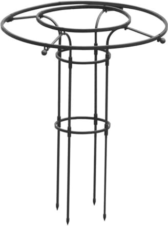 Soporte para plantas trepadoras, rejilla para plantas trepadoras, marco de soporte vertical vegetal, tamaño múltiple, color negro, acero de polipropileno para plantas de montaje, enredaderas