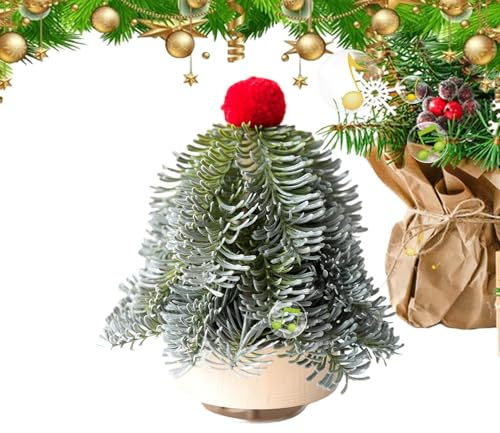 Générique Christmas Music Box with Watch Winder - Festive Figure for Parties - Music Box Figure Christmas | for Girls Boys Girls Son Sister Little Daughter Mum Dad Women