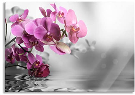 Pixxprint Glasbild, Wandbild aus Echtglas, Orchideenblüten über Wasser, 60x40 cm, inkl. Aufhängung und Abstandshalter