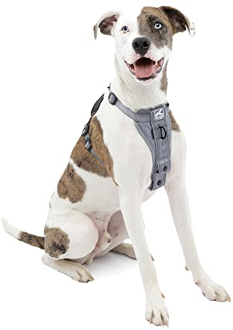 Kurgo Arnés para Perro,Arnés para Caminar para Mascotas,Sin arnés de tracción Frontal con Clip para Entrenamiento Incluido,Cinturón de Seguridad de Coche,Mediano,Gris