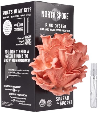North Spore Pink Austernpilz Spray & Grow Kit (1,8 kg) | Anfängerfreundlich & einfach zu bedienen | Züchten Sie Ihre eigenen Gourmet-Pilze zu Hause | handgefertigt in Maine, USA