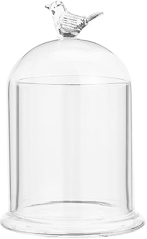 CHGCRAFT Arch Shape Bird Pattern Glass Cloche Dome Cover Terrarium with Glass Base Decorative Display Case for Candle Holder Eternal Flower Plant Garage Kits Display, Clear