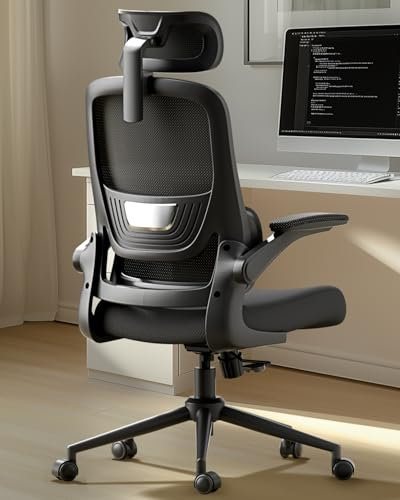 Hbada P1 Bürostuhl Ergonomischer, Schreibtischstuhl mit Verstellbarer Lendenstütze, Schreibtischstuhl für das Home Office mit 2D Kopfstütze, klappbaren Armlehnen, drehbarer Computerstuhl, schwarz